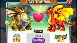 Dragon City: Clarity Dragon vs Flame Dragon [EXCLUSIVE BREEDING DRAGON]