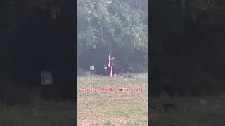 Monk homeless in the jungle