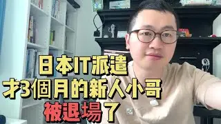 日本工作｜華人IT派遣最大的利潤來源居然是新人