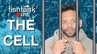 Fishtank S3 | DAY 15 | THE CELL