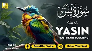 Yasin Surah Beautiful Recitation (سورة يس) ✦ Relaxing Quran Recitation ✦ Peaceful Sleep Without Ads