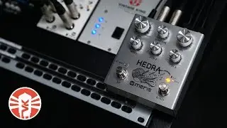 Meris Hedra | Pitch Shifter Pedal | Vintage King