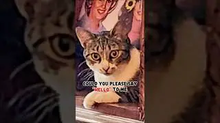 Please say 