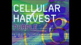 Cellular Harvest Purple (1) Itching for New Games (190)