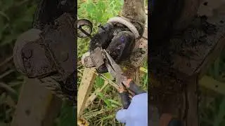 Best Cleaning Practices Fix Removing Screws from Damaged Cow Hooves