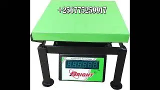 Industrial Digital Bench Scale