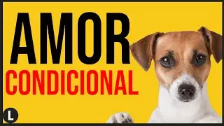 Por que a ESQUERDA diz que AMA os ANIMAIS?
