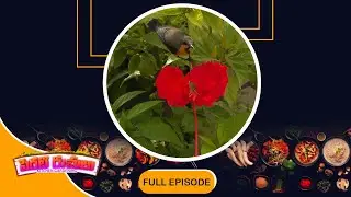 Perati Ruchulu | 29th Aug 2025 | Full Episode | ETV Abhiruchi