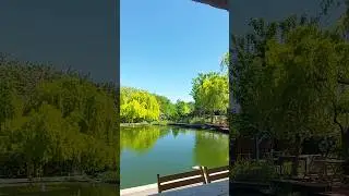Запорожье УЕХАЛ В СЕЛО ОТ ТЦК #beautifulukraine #запорожьесегодня #travel #spring #relax #nature