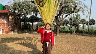 Yespali pani Butwal tira  lagem hai guys😂😂🧿🙏🏻❤️ 
