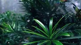 Spa Relaxing Music, Lofi Chill & Meditation Music, Natural ASMR, Stress Relief & Deep Focus