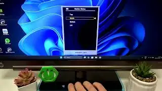 HP X2301 &ndash; How to Enable or Disable Monitor Status