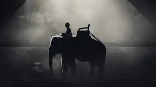 World Animal Protection || Raising Awareness