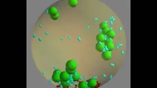 Presynaptic Nerve Terminal with Exocytosis