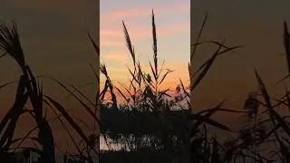 Sundown Serenity : Riverside Sunset and River Boats