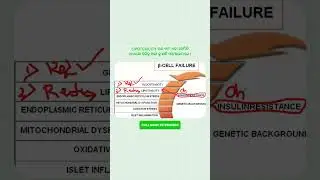 The Secret Cause of Obesity: Lipotoxicity Explained!