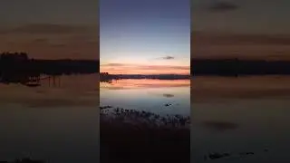🌅 Sunset Along the 🏞️ Spanish Moss Trail 🌄 Beaufort 🐊 South Carolina 🌴