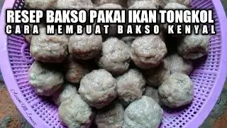 Cara membuat bakso ikan tongkol pakai blender kenyal