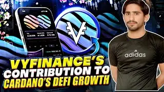 VY FINANCE CARDANODEFI PROJECT 2025