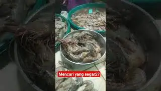 Udang Laut VS udang tambak??#shorts #shots #jakarta #sumut