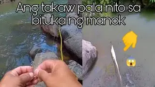 Panghuhuli ng palos/dalag sa ilog