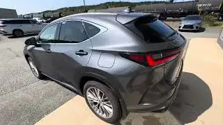 2025 Lexus NX 350 Luxury