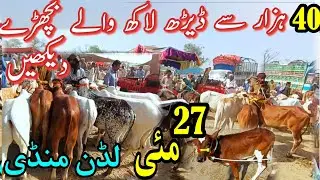 Bachro ka rate kon janna chahta hai @Luddanmandipk  #sahiwal #video