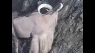 Tours-TV.com: Crimean Natural Reserve
