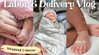 Labor and Delivery Vlog 2025 For Scheduled C-Section | Birth Vlog