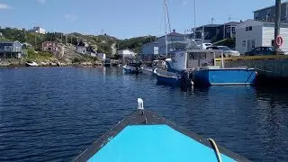 Rose Blanche-Harbour le Cou