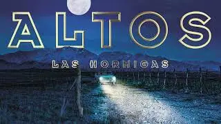 Altos Las Hormigas Malbec Terroir Valle de Uco