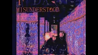 MISUNDERSTOOD | FVDXVD |