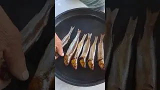 the best beer snack / лучшая закуска к пенному      #smokedfish #snake #shorts #fish #cooking