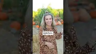 Orange County Fall Activities | Tanaka Farms