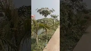 Kuril to Bashundhara international convesion city 