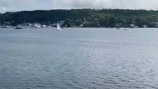 Coastal Maine Icon: Boothbay Harbour and Our Lady Queen of Peace! Shorts