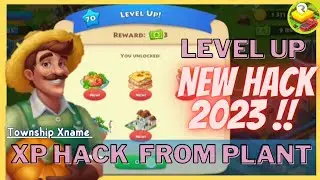 TOWNSHIP HACK XP 