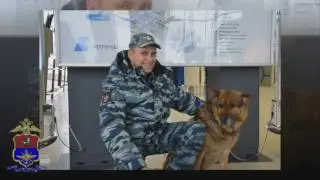 регион 31