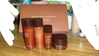 innisfree cauliflower mushroom vital special kit รีวิว