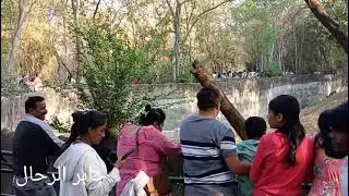  Pone Zoo India 5