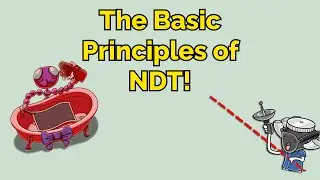 The Basic Principles of NDT! (Step 1, COMLEX, NCLEX&reg;, PANCE, AANP)