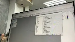 Rhino5