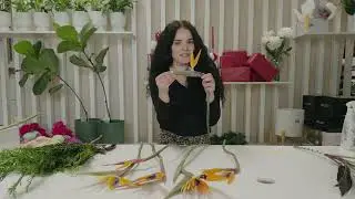 Tropical Elegance: Birds of Paradise, Trop Tops & Cypress | Flower Club Tutorial