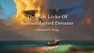 The Salt Licks Of Remembered Dreams By Catherine G  Tripp