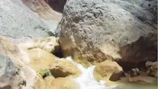 Gorgas Negras video