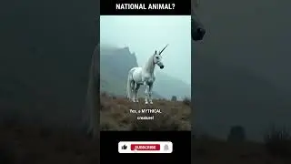 Scotland's national animal is... WHAT?! 🦄🏴󠁧󠁢󠁳󠁣󠁴󠁿 I can't believe this #shorts