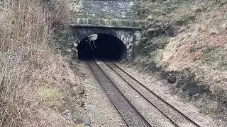 Trains at AMBERGATE JUNCTION/ Toadmoor tunnel(it&rsquo;s DISRUPTION mark 😁
