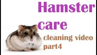 Hamster care part4 join me MADWOLF500