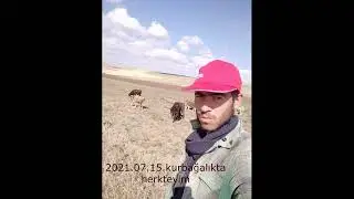 2021 yılı sivas yıldızeli yeniköy