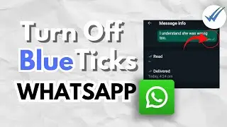 Disable blue ticks on WhatsApp &ndash; step by step tutorial | How to turn off blue tick in WhatsApp